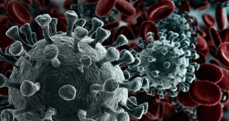 COVID pandemic: India reports 3,116 new cases with 47 fatalities in single day